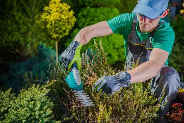 landscaping services Kenton